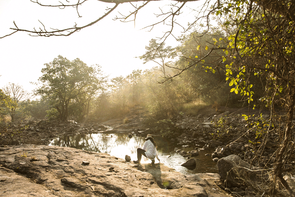 Dharana at Shillim 5*